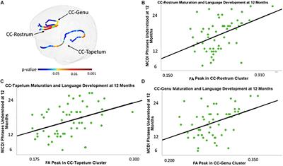 Neonatal White Matter Maturation Is Associated With Infant Language Development